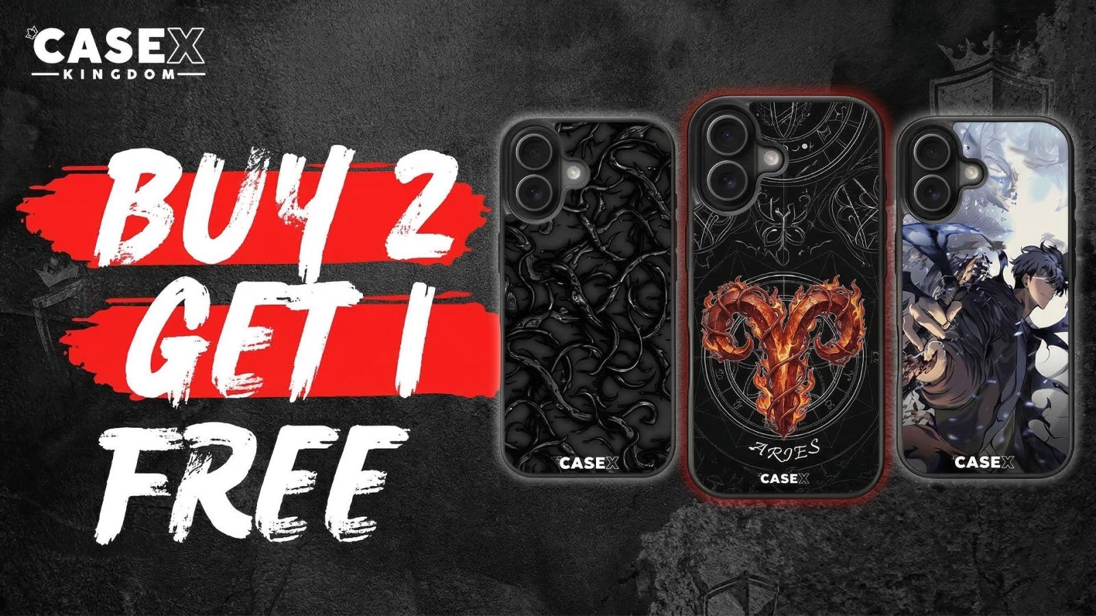 case-x-kingdom-banner